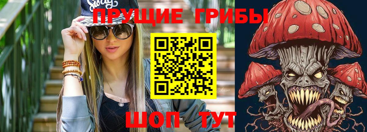 Галлюциногенные грибы Psilocybine cubensis Великий Новгород