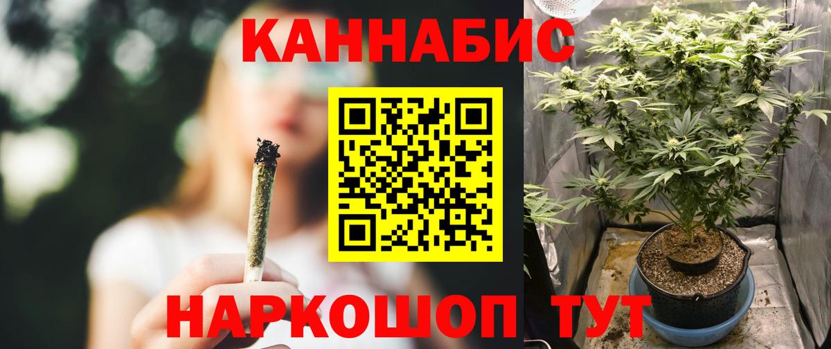 Каннабис SATIVA & INDICA Великий Новгород